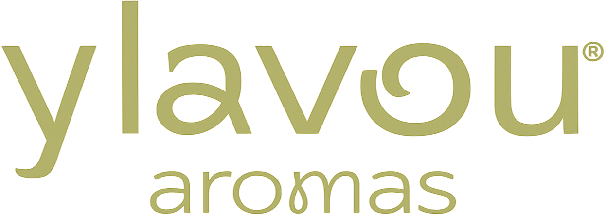 ylavou Logo